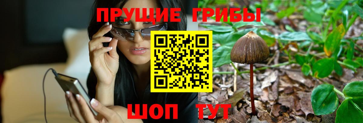 Псилоцибиновые грибы Magic Shrooms  Вход с VPN  Галлюциногенные грибы GOLDEN TEACHER  Мариинск 